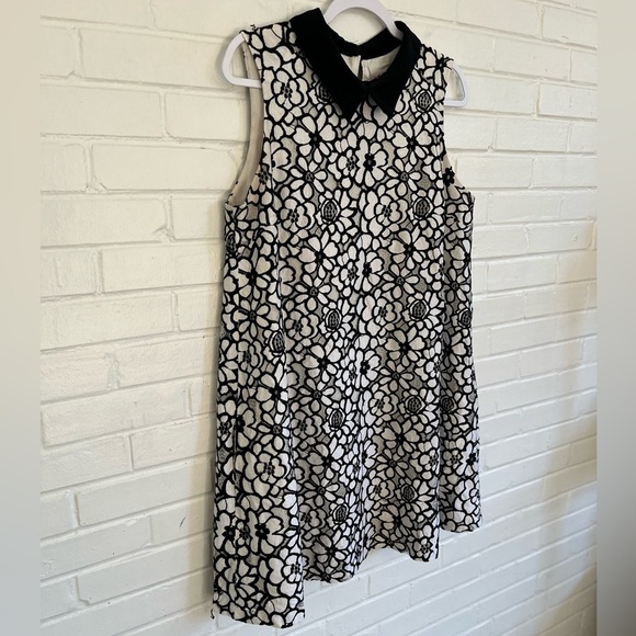Nanette Lepore Black and White Lace Collared Shift Dress, SZ 12 EUC - Picture 3 of 8